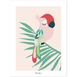 Affiche perroquet rose (30 x 40 cm)