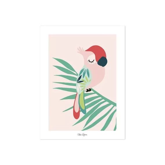 Affiche perroquet rose (30 x 40 cm)