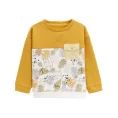 image de pull bébé 