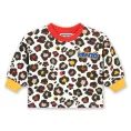 image de pull bébé 