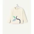 image de pull bébé
