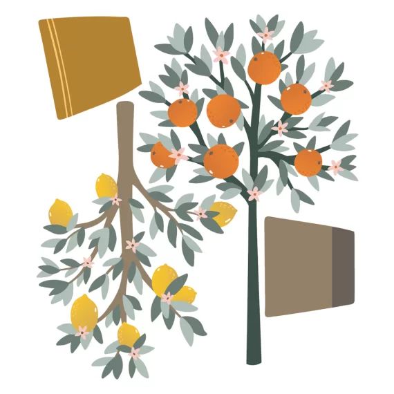 Sticker mural Oranger et Citronnier