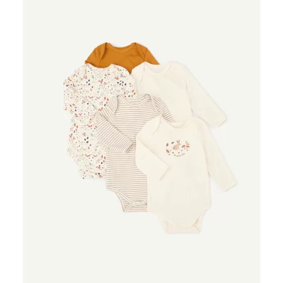 Lot de 5 bodies en coton biologique motifs écureuils –  – Soldes