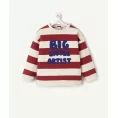 image de pull bébé 