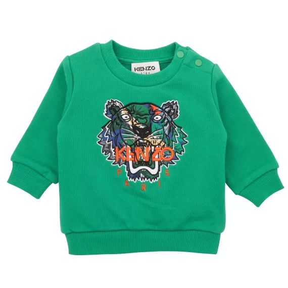 Sweat-shirt molletonné brodé Garçon Vert