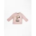 image de pull bébé 