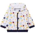 image de pull bébé 
