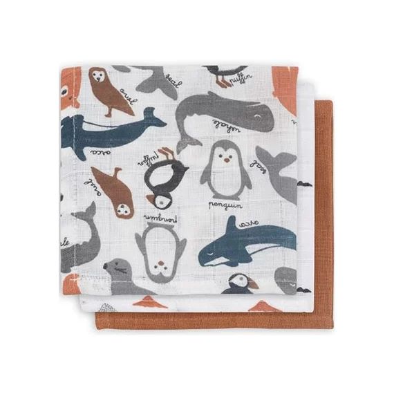 Lot de 3 mini langes hydrophiles Polar (31 x 31 cm)