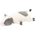 image de peluche bébé 