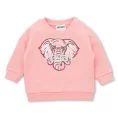 image de pull bébé 