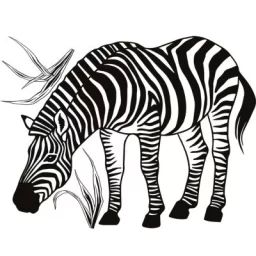 Stickers muraux Zèbre (60 x 45 cm)