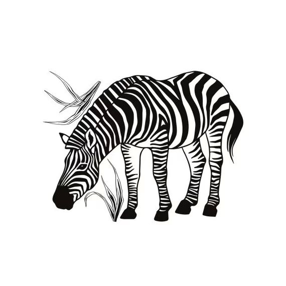 Stickers muraux Zèbre (60 x 45 cm)