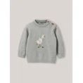 image de pull bébé 