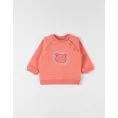 image de pull bébé 
