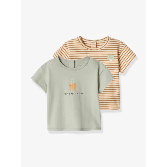 Lot de 2 Tee-shirts bébé manches courtes bleu glacier
