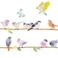 image de stickers bébé 