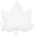 image de coussin bébé 