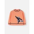 image de pull bébé 