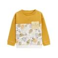 image de pull bébé 