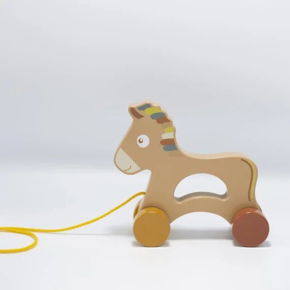 Jouet En Bois Bébé À Tirer Multicolore