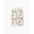 image de pantalon bébé 