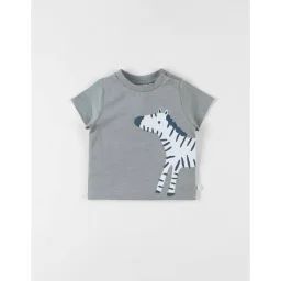 T-shirt Zèbre À Courtes Manches Eucalyptus Vert