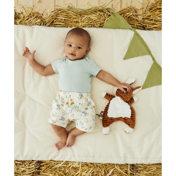 Lot de 5 bodies en coton bio vert et bleu thème savane –  – Soldes