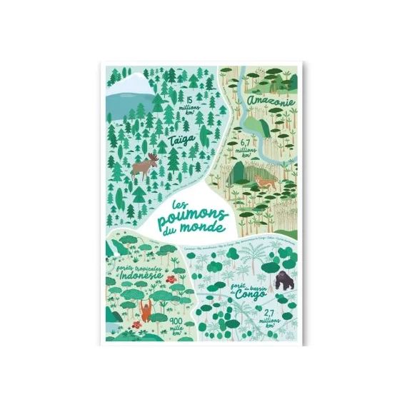 Affiche Les grandes forêts (A3)
