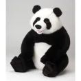 image de peluche bébé 