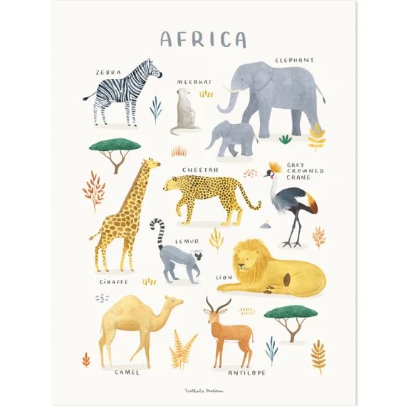 Affiche Animaux d&rsquo;Afrique (30 x 40 cm)