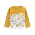 image de pull bébé 
