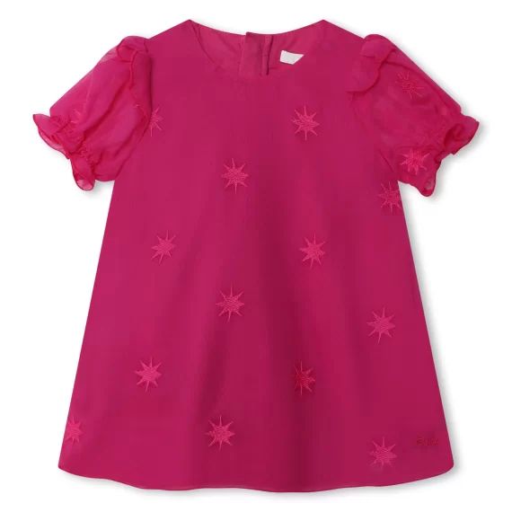 Robe de cérémonie brodée Fille Rose