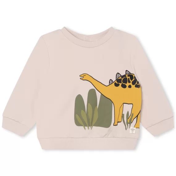 Sweat-shirt fantaisie Garçon Beige