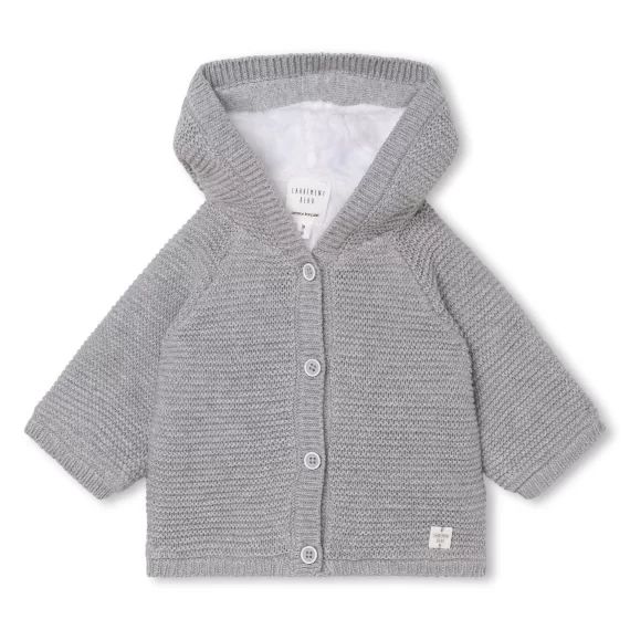 Veste en tricot à capuche Garçon Gris