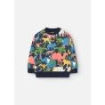 image de pull bébé 