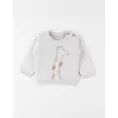 image de pull bébé
