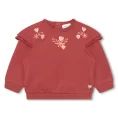 image de pull bébé 