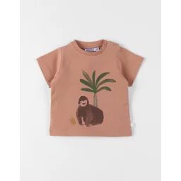 T-shirt Coton Marron