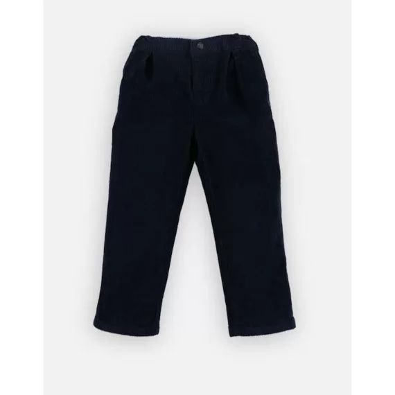 Pantalon en velours côtelé bleu