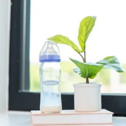 Biberon en verre Natural Wave spécial allaitement (240 ml)
