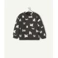 image de pull bébé