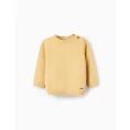 image de pull bébé