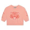 image de pull bébé