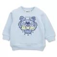 image de pull bébé 