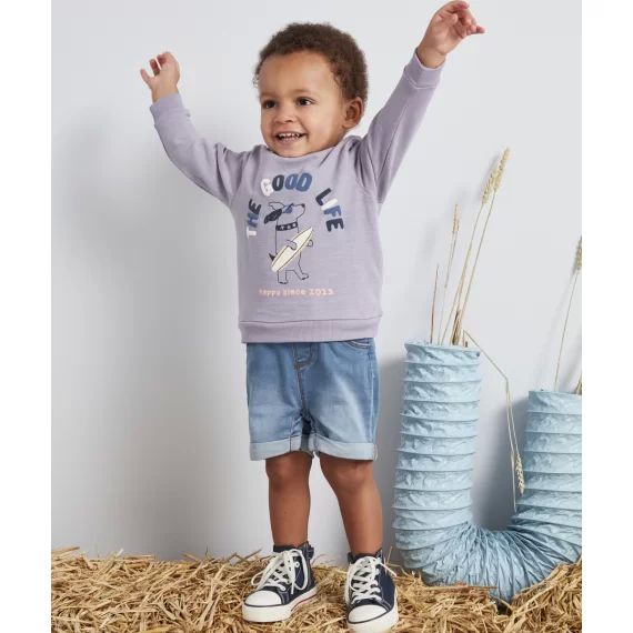 Sweat garçon en coton biologique parme avec message et chien –  – Soldes