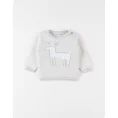 image de pull bébé