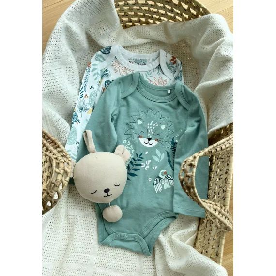 Lot De 2 Bodies Bébé Manches Longues Roméo Bleu