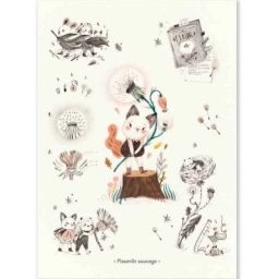 Affiche Pissenlit sauvage Après la pluie (50 x 70 cm)
