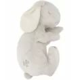 image de peluche bébé