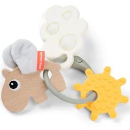 Anneau D&rsquo;activités Et De Dentition Multicolore